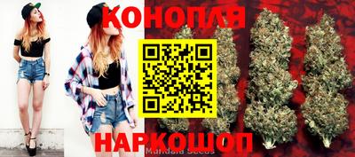 гашик Ставрополь